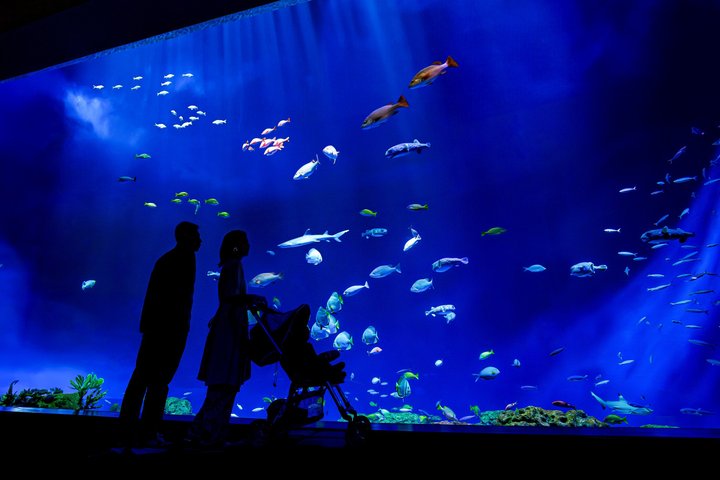 Have Fun in Okinawa 1 Week Free Pass