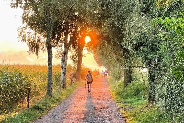 Camino de Santiago Sarria to Santiago 6 to 7 Days Tour