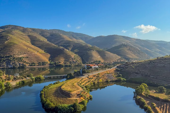 Best of the Douro in a Day: Boat, Wine and Family Lunch