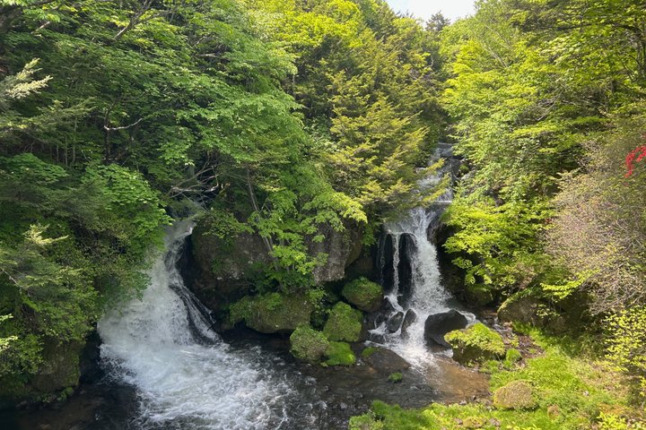 Nikko: Kegon Falls & Lake Chuzenji 3-Hour E-Bike Tour