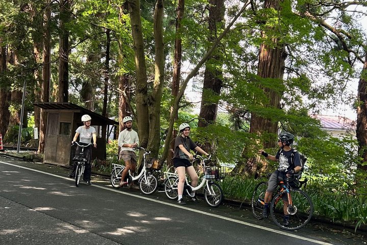 Nikko: Kegon Falls & Lake Chuzenji 3-Hour E-Bike Tour