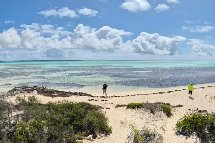 Bonaire's Best Day: Flamingos, Salt Flats, History & Beach
