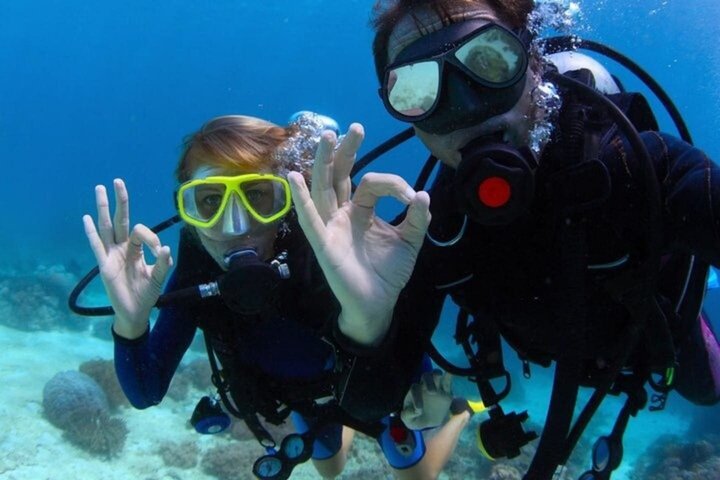 Tiran Island Snorkeling , Diving Cruise & Lunch - Sharm El Sheikh