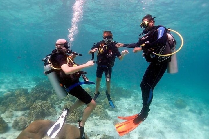 Tiran Island Snorkeling , Diving Cruise & Lunch - Sharm El Sheikh