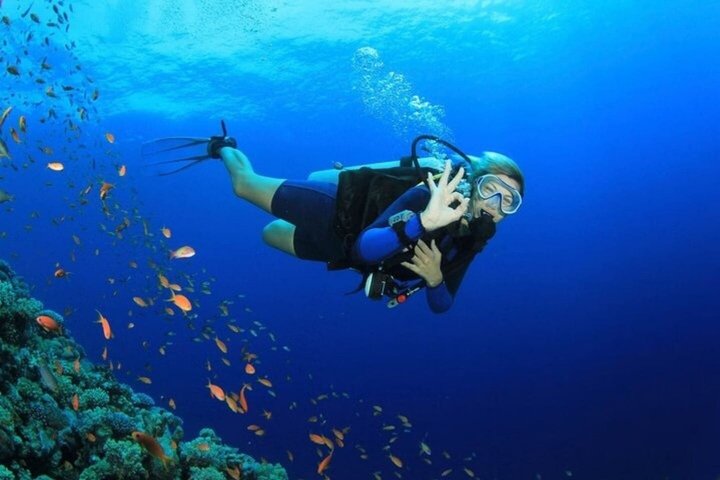 Tiran Island Snorkeling , Diving Cruise & Lunch - Sharm El Sheikh