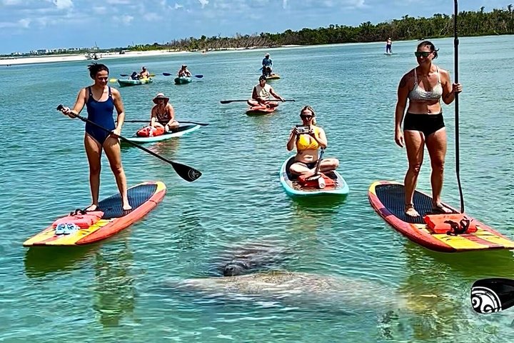 Daytona Beach Dolphin & Manatee Tour – Paddleboard or Kayak
