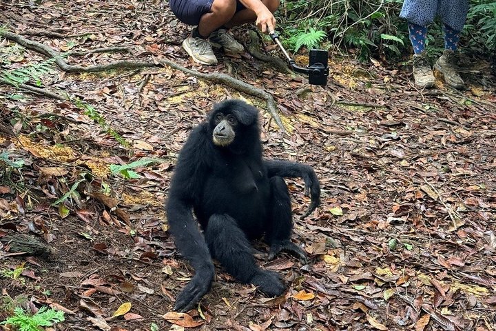 Bukit Lawang Orangutan Trekking 2D1N All Inclusive Medan Basic
