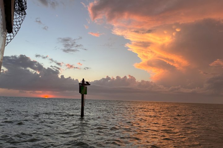 Sunset & Dolphin Tour St. Pete Beach