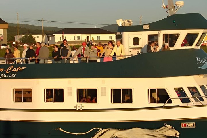 Bonne Bay Evening Cruise