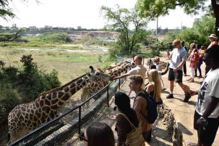 Haller Park Tour observing hippos, giraffes, birds, monkeys, crocs & others