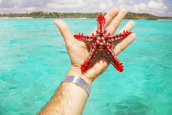 Zanzibar Full Day Private Tour with Sunset Beach & Seafood BBQ