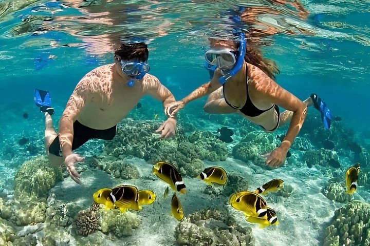 Zanzibar Mnemba Island Snorkeling and Dolphin Watching Adventure