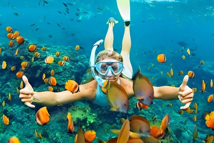 Zanzibar Mnemba Island Snorkeling and Dolphin Watching Adventure