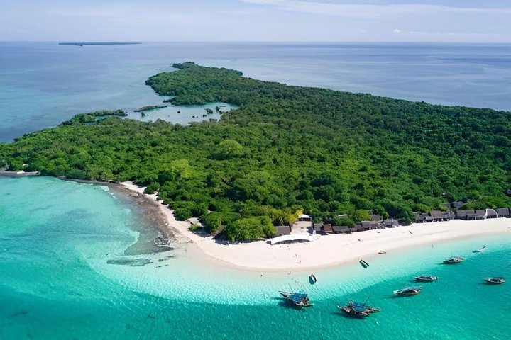 Zanzibar Mnemba Island Snorkeling and Dolphin Watching Adventure