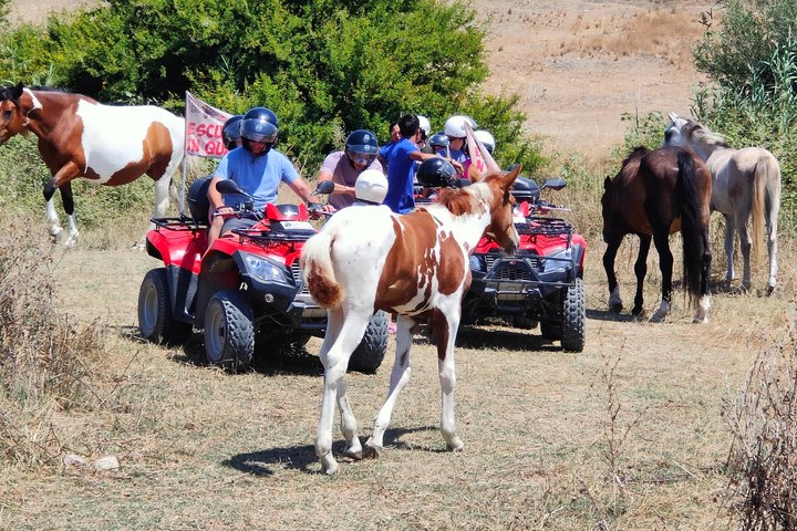 Quad Tour Excursion from the Castle to the Sea