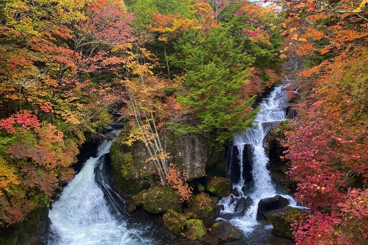Nikko: Kegon Falls & Lake Chuzenji 3-Hour E-Bike Tour