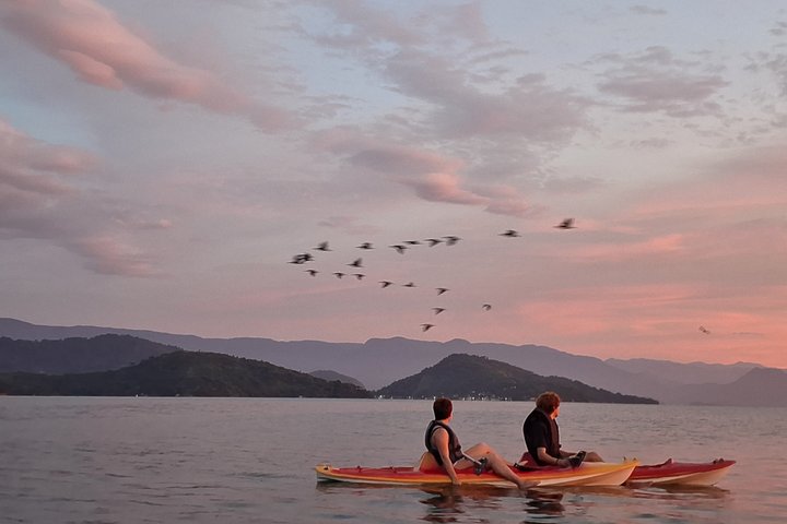 Kayaking to the mangroves & Capivaras