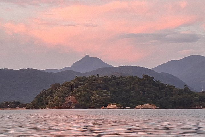 Kayaking to the mangroves & Capivaras