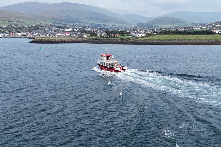 1 hour Dingle Bay Cliff Tour
