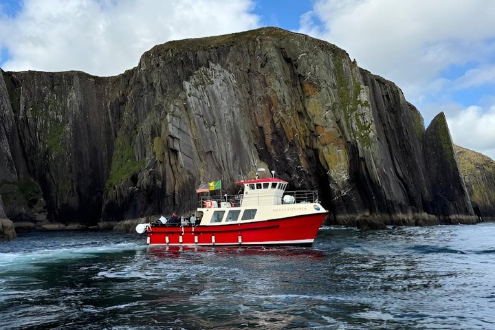 1 hour Dingle Bay Cliff Tour