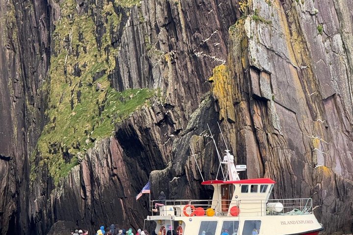 1 hour Dingle Bay Cliff Tour