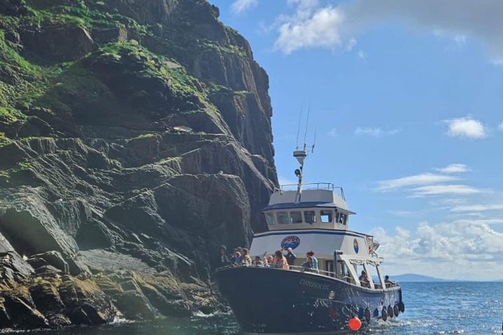1 hour Dingle Bay Cliff Tour