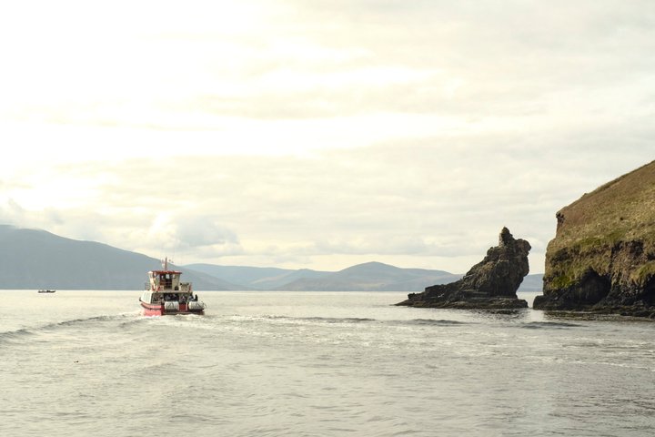 1 hour Dingle Bay Cliff Tour