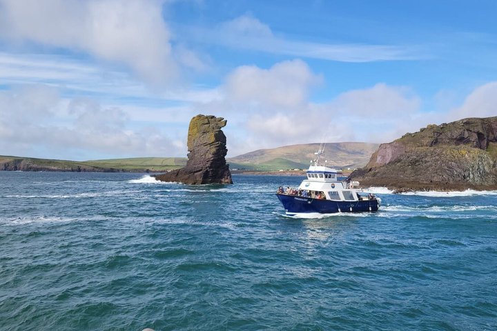 2-hour Guided Mini Eco Tour at Dingle, Ireland