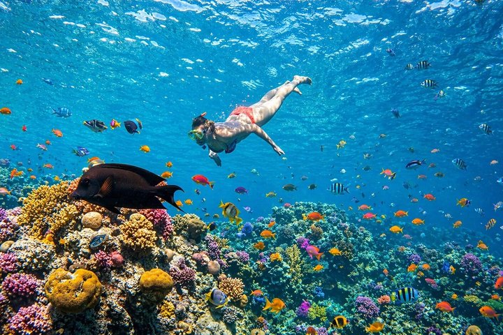 Hurghada: VIP Seafood Yacht to 3 Islands, Dolphins & Snorkeling