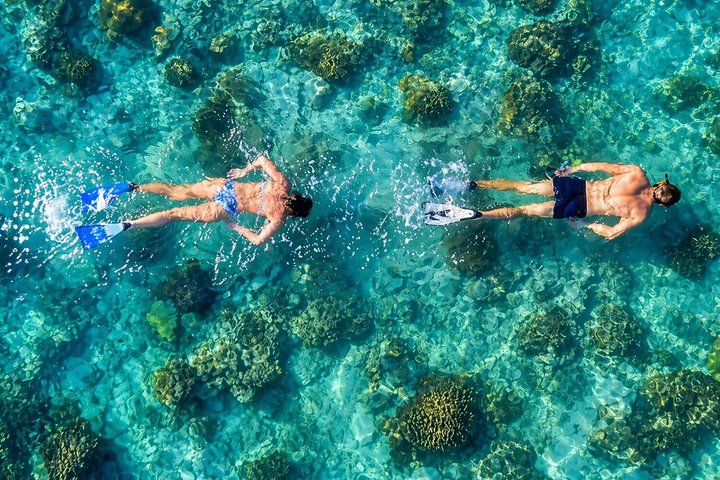 Hurghada: VIP Seafood Yacht to 3 Islands, Dolphins & Snorkeling