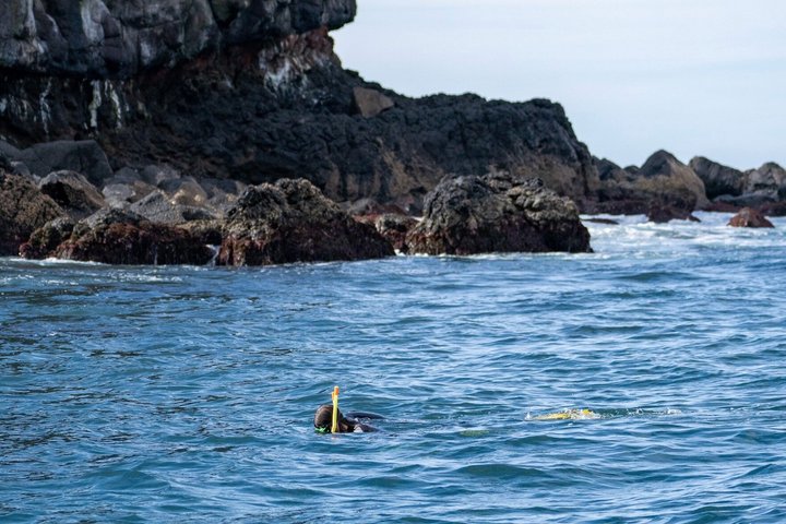 Ultimate Ocean Encounter Group Charter