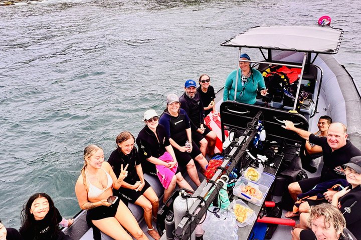 Ultimate Ocean Encounter Group Charter
