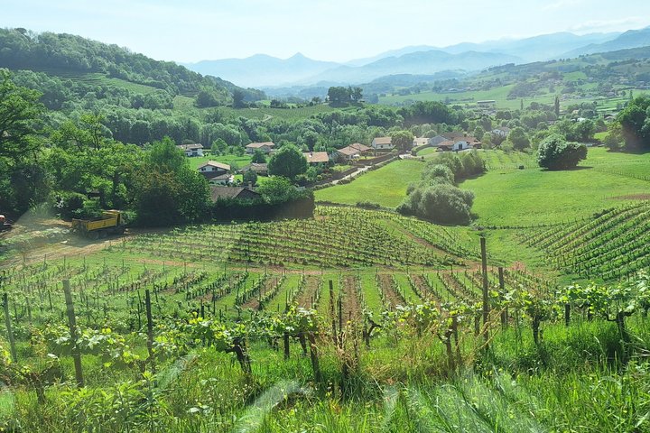 Experience the Best of the Basque Country from Coast to Mountain