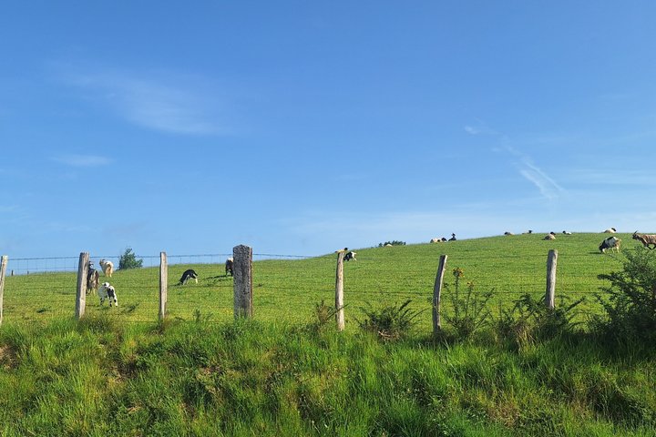 Experience the Best of the Basque Country from Coast to Mountain