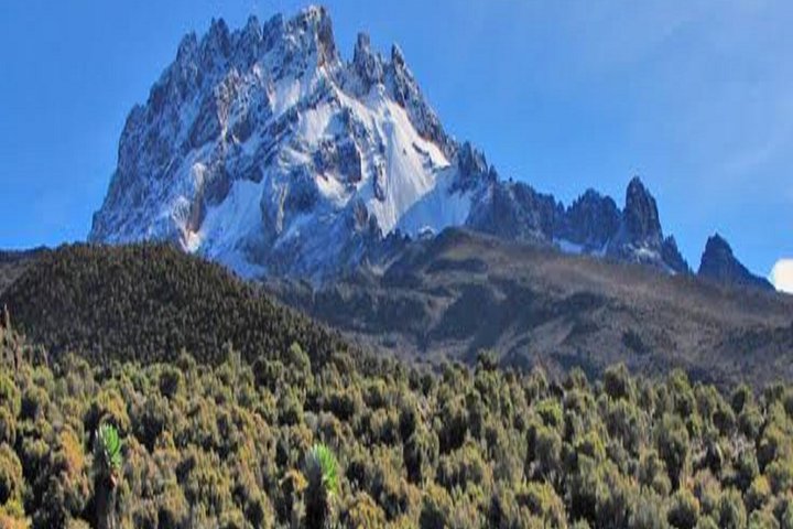 Best Kilimanjaro hiking day trip tour From Arusha/Moshi