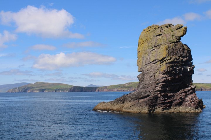 2-hour Guided Mini Eco Tour at Dingle, Ireland