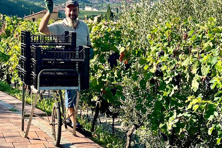 Amarone Della Valpolicella Wine Experience - Meet the Vogadori Family