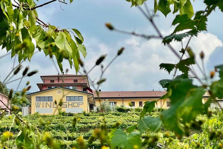 Amarone Della Valpolicella Wine Experience - Meet the Vogadori Family