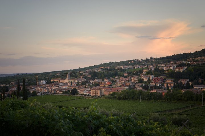 Amarone Della Valpolicella Wine Experience - Meet the Vogadori Family