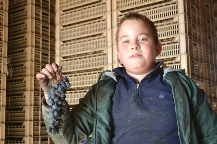 Amarone Della Valpolicella Wine Experience - Meet the Vogadori Family