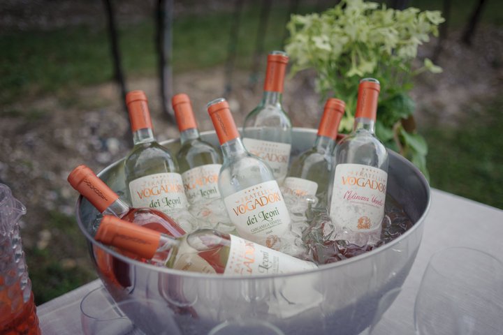 Amarone Della Valpolicella Wine Experience - Meet the Vogadori Family