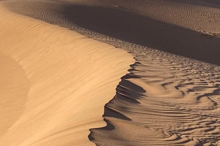 Tour from Ouarzazate to Vallee Du Draa and Dunes Of Tinfou