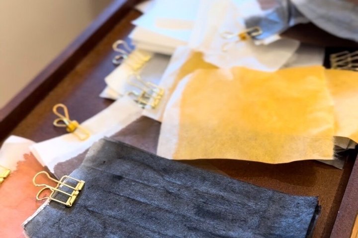 Make Your Own Cat Lamp with Traditional Tosa Washi in Kochi
