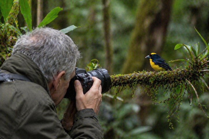 Mindo Cloud Forest Birdwatching & Photography - Private Day Tour