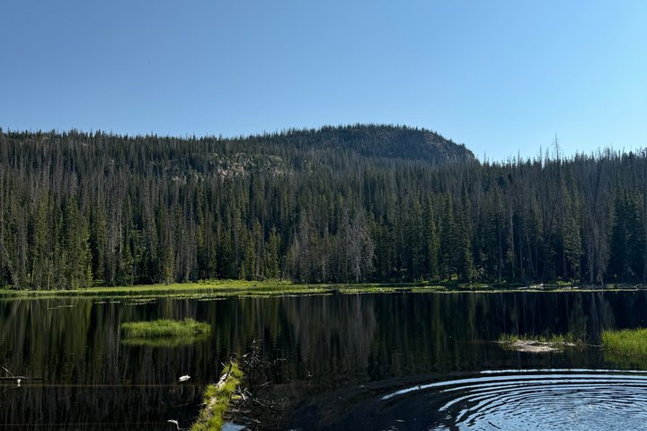 Uinta Mountains: Extreme 2 Hour UTV Adventure (2 Seat RZR)