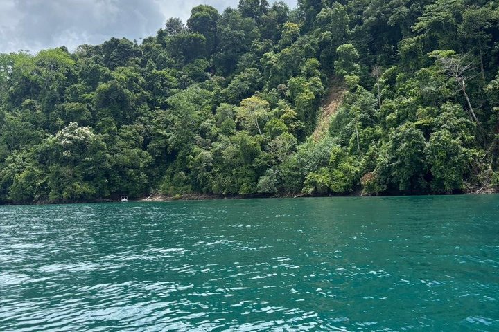 Whale Watching with Snorkeling and Fishing in Puerto Jiménez