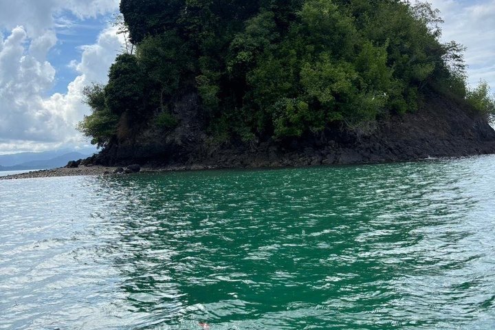 Whale Watching with Snorkeling and Fishing in Puerto Jiménez