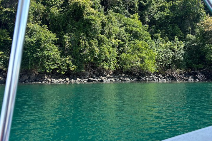 Whale Watching with Snorkeling and Fishing in Puerto Jiménez