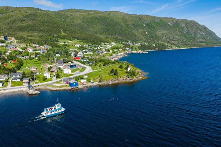 Tablelands Bonne Bay Catamaran Tour