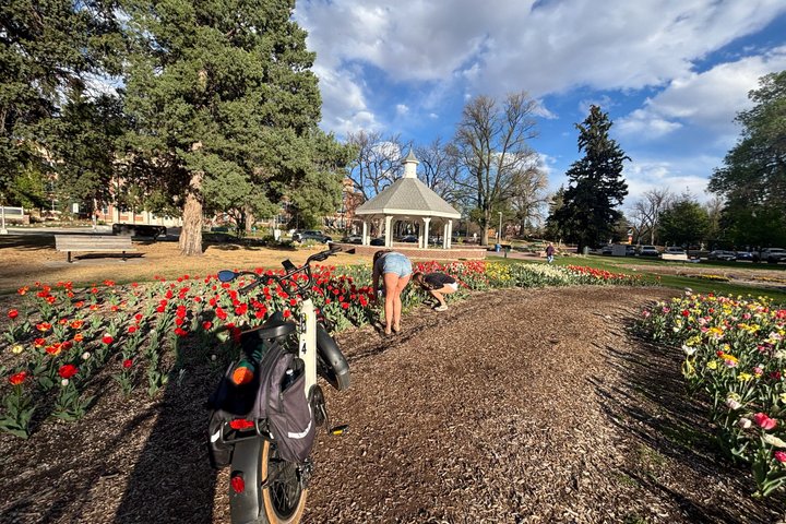 Experience Fort Collins by E Bike Guided Tour